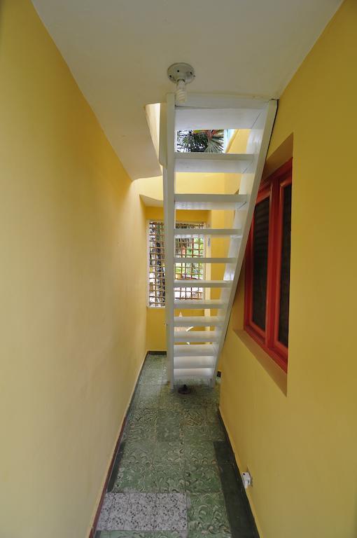 Casa Delfin Guest House Las Terrenas Rum bild